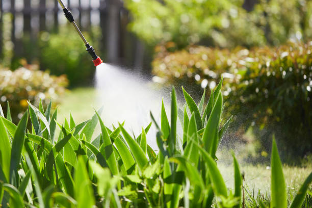 Tamper-Resistant Bait Stations for Rodents in Rockwood
