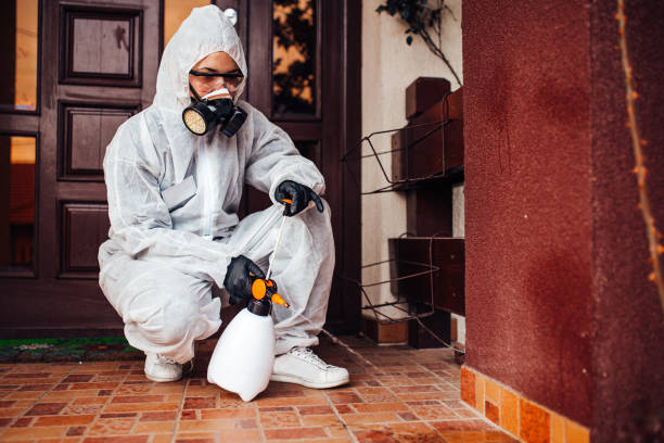 Attic and Crawl Space Rodent Treatment in Rockwood